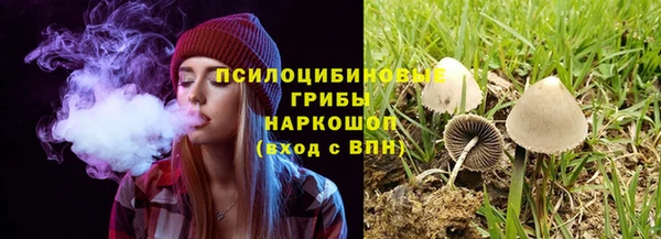 хмурый Осташков