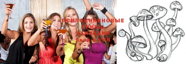spice Белокуриха