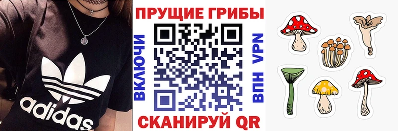 Псилоцибиновые грибы прущие грибы  Княгинино 